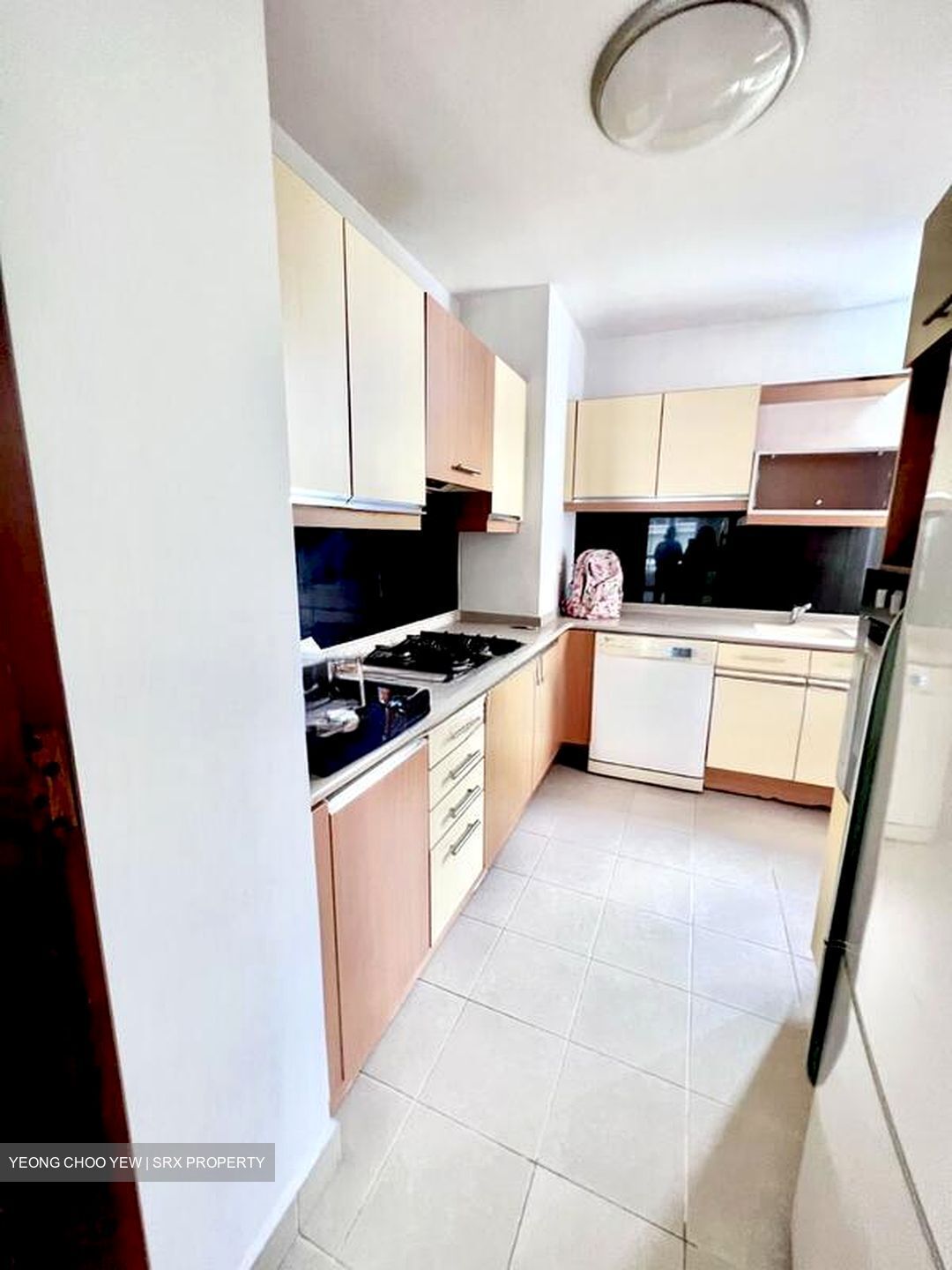 The Balmoral Spring (D10), Apartment #497785021